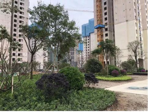 1543905843240487.png image.png